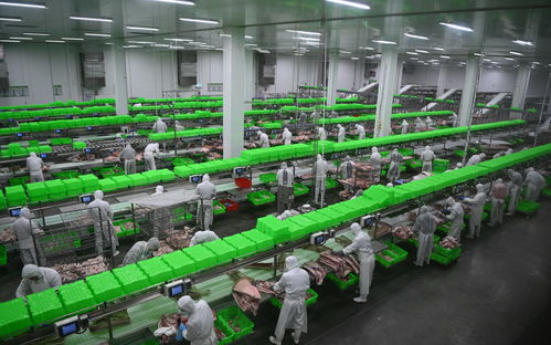 內(nèi)鄉(xiāng)牧原食品城正式投入運行 一期投資5億元，年屠宰加工200萬頭生豬，推動生物技術(shù)開發(fā)