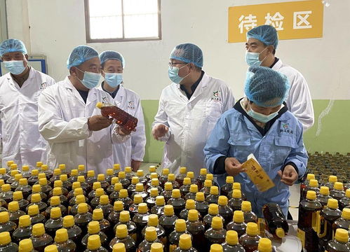 天津市甘肅商會赴武山縣考察，共探農產品與工藝品產銷合作新機遇